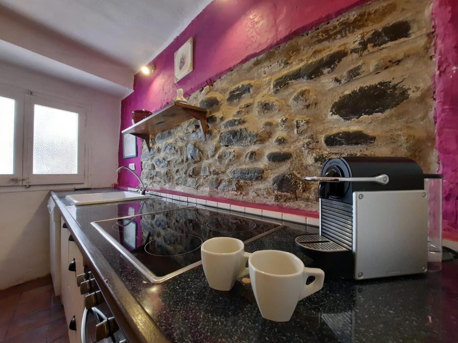 Casa Rural Cal Rocco Porta Del Pirineu Pobla de Segur Εξωτερικό φωτογραφία